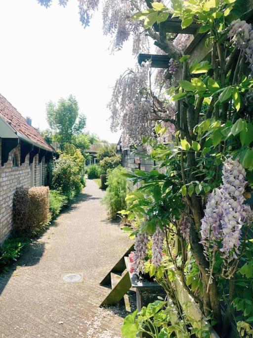 Uniek Vakantieverblijf Den Burg Dış mekan fotoğraf